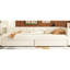 Lit rembourré beige avec 2 solutions de rangement à 2 tiroirs pour une organisation élégante d'étagères de port-121015917