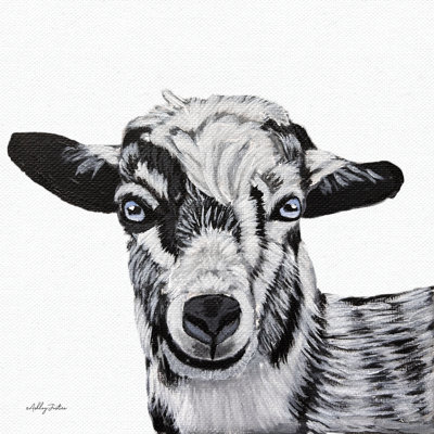 Goat II par Ashley Justice