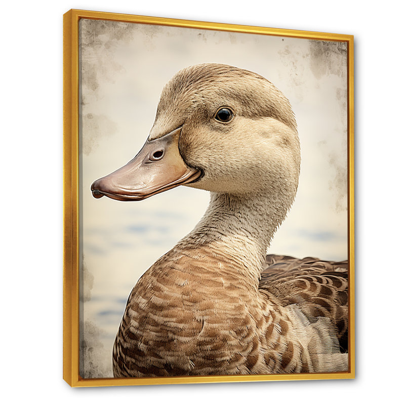 «Brown Duck Elegance III» - Art mural animal canard, Cadre flottant doré, H 40 po x l 30 po x P 1,5 po