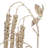 Amaranthus Arrangement-1632306365