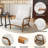 Lemley 25.6'' W Solid Wood Armchair with Lumbar Support -411286203