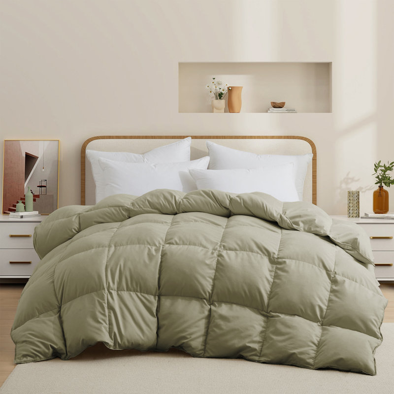 Insert de couette en duvet de plumes toutes saisons avec 8 languettes d'angle, Sauge, Grand lit