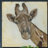 " Patterned Giraffe " Print-30375678