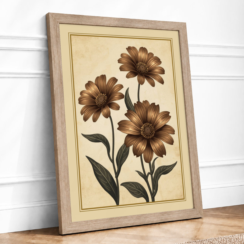 Three Daisy Studies Botanical - Framed Print, A2 - 59.4 x 42.0 cm, Oak