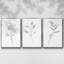Croquis floral - ensemble de 3 encadrements sur toile encadrés sur toile-97794940-97794943