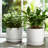 Set Of 2 Ceramic Planters With Textured Bubble Surface And Saucers - Modern Decorative Container Pots For Stylish Indoor Display And Versatile Plant Arrangements-878722646