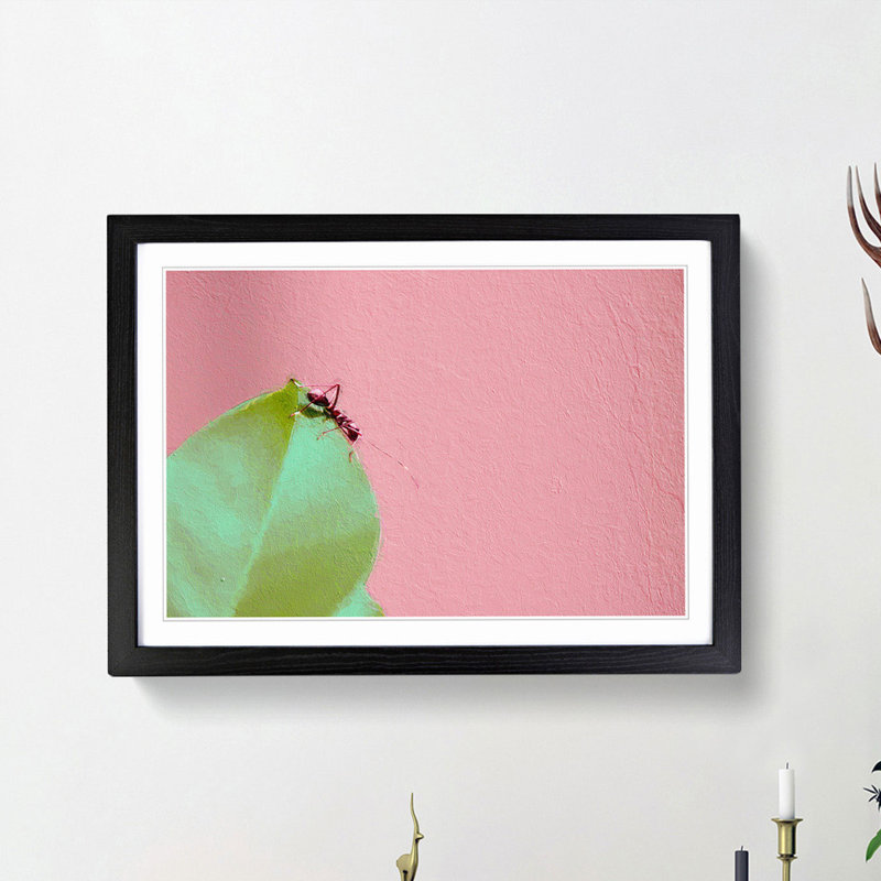 Red Ant - Picture Frame Photograph Print, 36cm H x 48cm W x 2cm D, Black Framed