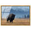 Mountain Bison I High-Gloss Frameless Acrylic Glass Wall Art Animals Print by Oliver Gal, Ready to Hang, 15 x 10-49073757-49073771