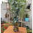 Glass Table Vase - Set of