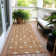  Maliana Area Rug