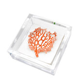 Coral Cocktail Napkin Holder
