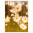 Ayden Metal Poster Picture Frame  with Real Glass-1255456594-1314252048