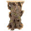Craggy Bark Tree Ent Side Table