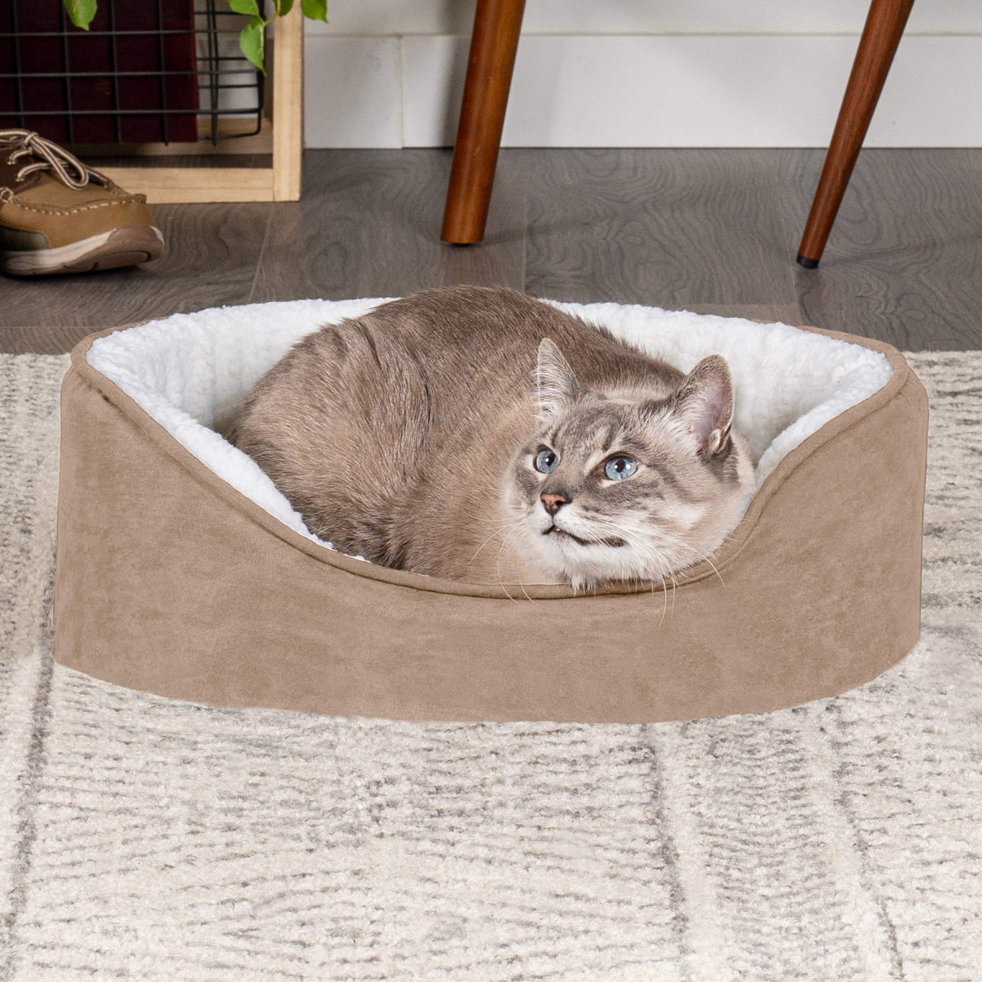 Furhaven Pet Bed for Dogs and Cats Terry and Suede Oval Cuddler