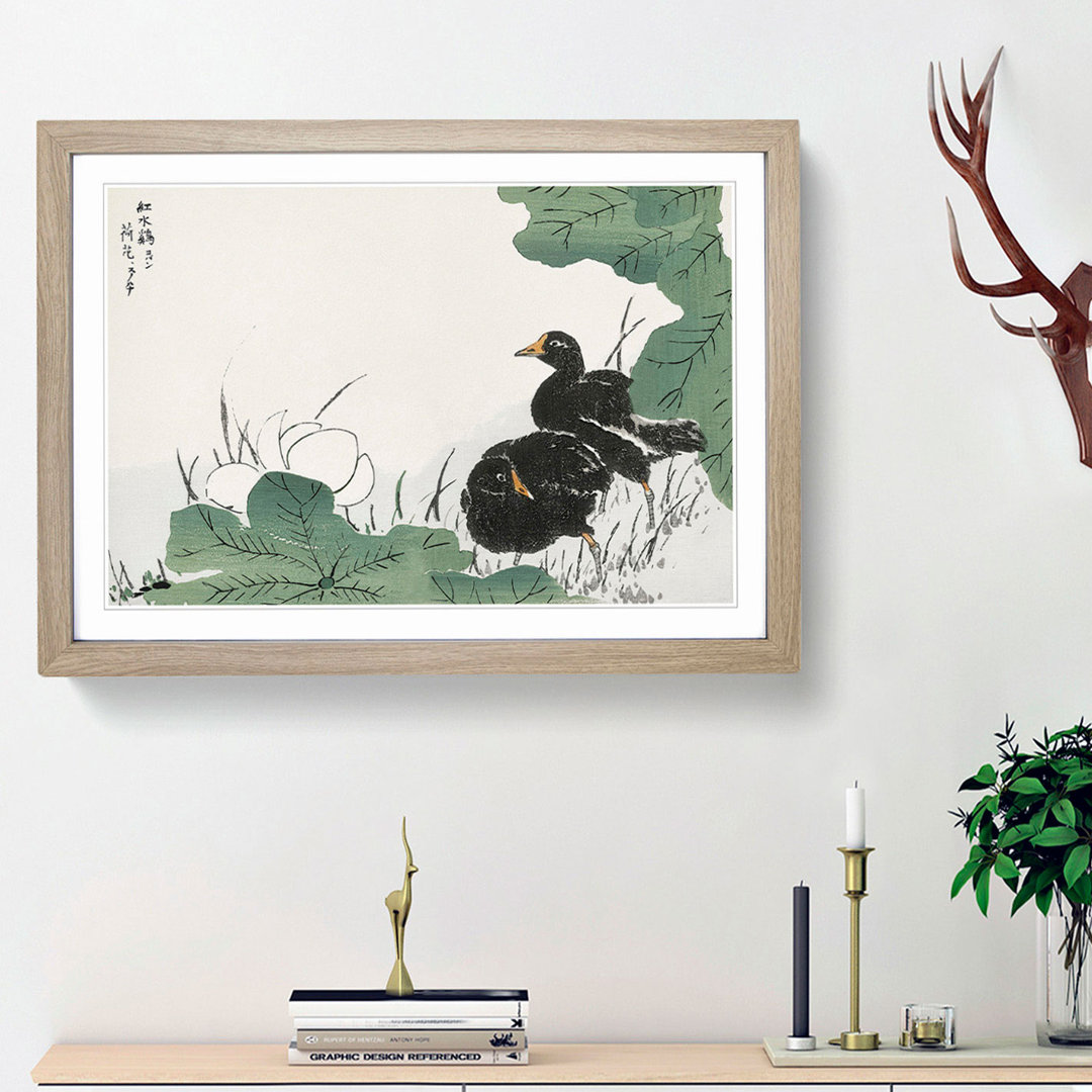 Coot Bird & Lotus Flower by Numata Kashu - Picture Frame Painting Print