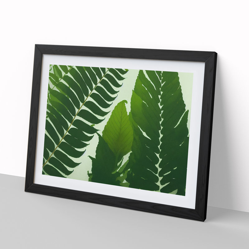 Contoured Fern Leaf - Framed Print, Black, 46cm H x 64cm W x 2cm D