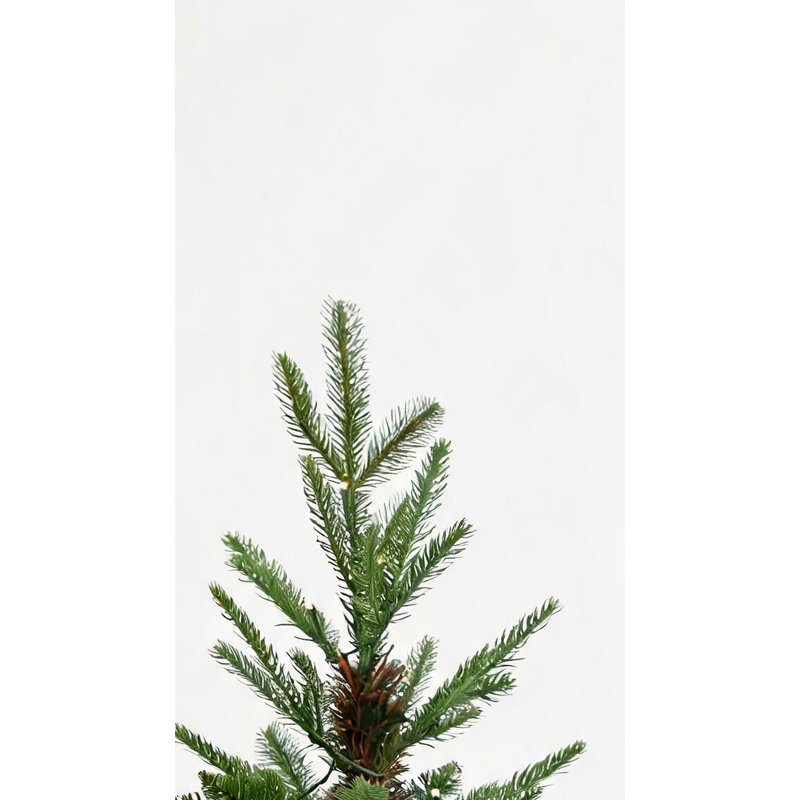 Arbre de Noël en pot 3 pi
