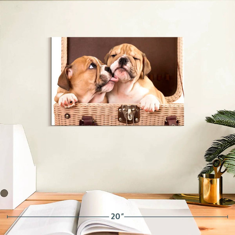 Bulldog Frères et Sœurs, H 8 po x l 12 po