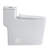 Yingze 10" Rough-In Elongated One Piece Toilet, ADA Comfort Height 17.25", Dual Flush Water Saving, 3" Flush Valve Anti-Clog, Nano Glaze Stain Resistant White Toilet for Small Bathrooms