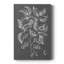" Graphic Foliage V "-430101440