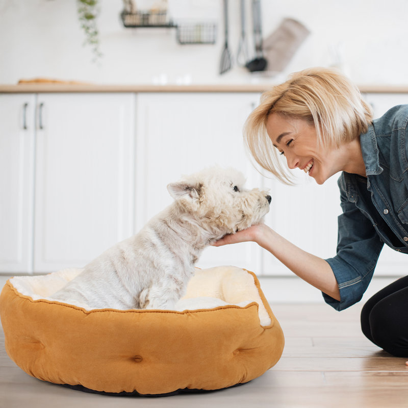 Lit rond pour chat, Petit (L 20 po x l 19 po), Jaune