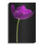 Lueur de tulipe mauve par Pamela Plummer-2014837907