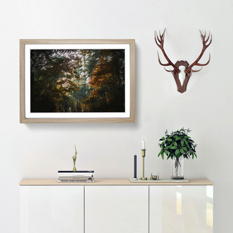 A Magical Forest - Framed Print, 33cm H x 45cm W x 2cm D, Oak Framed
