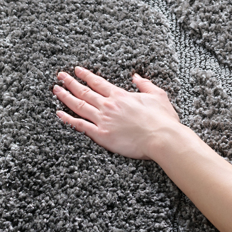 Ashal Abstract Charcoal Gray Area Rug, Rectangle 2' x 3'