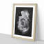 Rose Flower - Picture Frame Graphic Art Print-56857648-56857649
