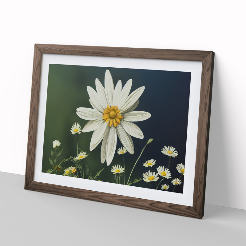 Sparkling Daisy Flowers - Framed Print, 46cm H x 64cm W x 2cm D, Walnut
