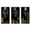 Essence féminine noire et dorée I - Portrait de femme, ensemble de 3 décorations murales-557718914-557718912