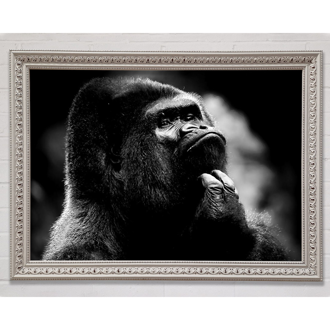 Nachdenklicher Gorilla B N W - Druck