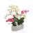 Orchid Arrangement in Pot