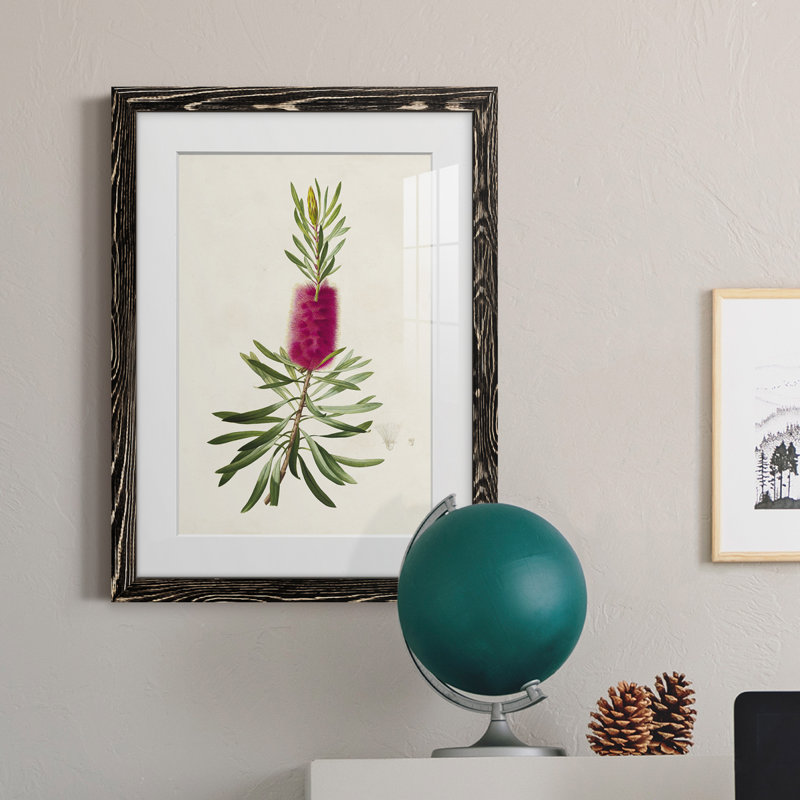 «Pretty Botanicals VII», impression encadrée, Cadre noir, H 32 po x l 23 po x P 1 po