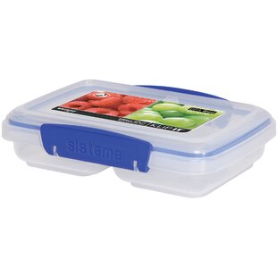 https://assets.wfcdn.com/im/96534555/resize-h310-w310%5Ecompr-r85/9396/9396746/klip-it-split-118-oz-food-storage-container.jpg