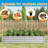 Nekeda Outdoor Raised Garden Bed-1701151925-1701151926