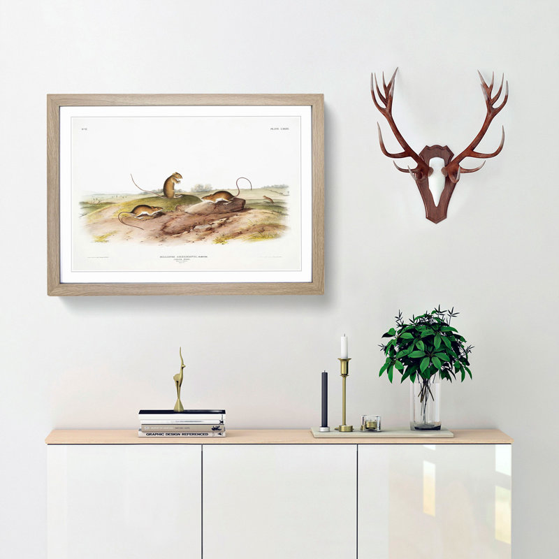 Jumping Mice by J.W. Audubon - Picture Frame Painting Print, Oak, 60cm H x 91cm W x 2cm D