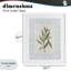 «Leafy Fresh Herb», reproduction sous verre encadrée, design par Diannart-1837462467-1837462471