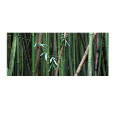 " Bamboo " by Pierre Leclerc