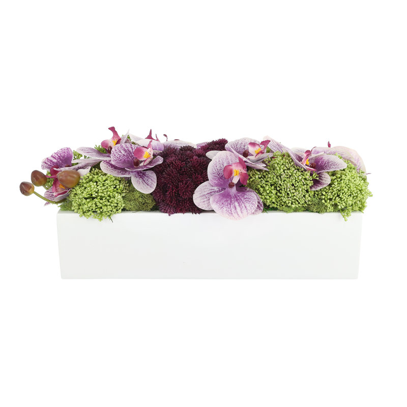 Orchid and Sedum Arranged in Fiberstone Planter, Yellow, 7.5" H x 19" W x 9" D