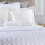 Splendido Sateen Pillow Case-46548247-46548248