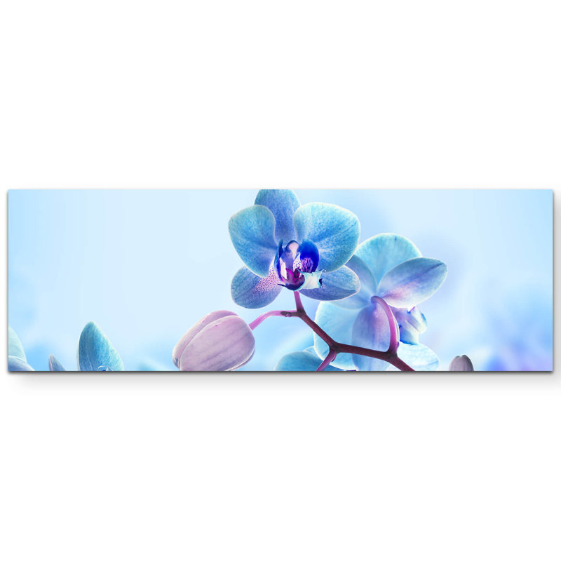 1 Piece Wrapped Canvas Wall Art, 120cm L x 40cm W