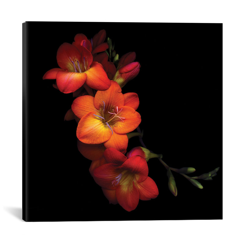 Orange et épices, reproduction de photo sur toile tendue, H 12 po x l 12 po x P 0,75 po