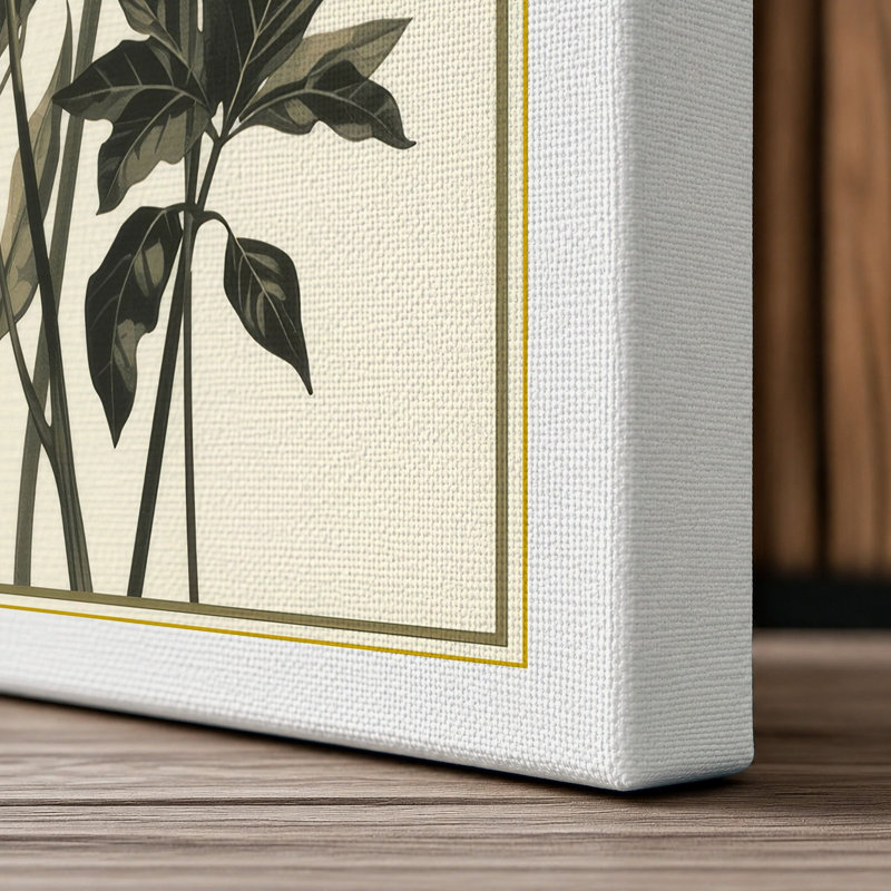 Carnation Study Botanical - Wrapped Canvas, 24x16 - 61.0 x 40.6 cm, White Border