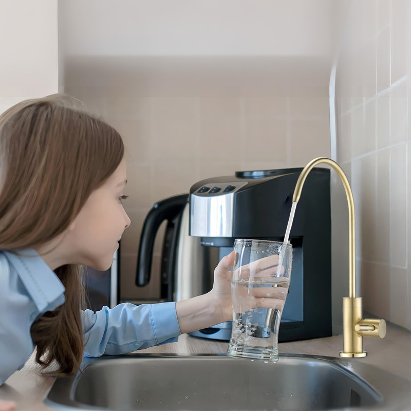 Kitchen Sink Water Purifier Faucet With Soap Dispenser, Brushed Gold