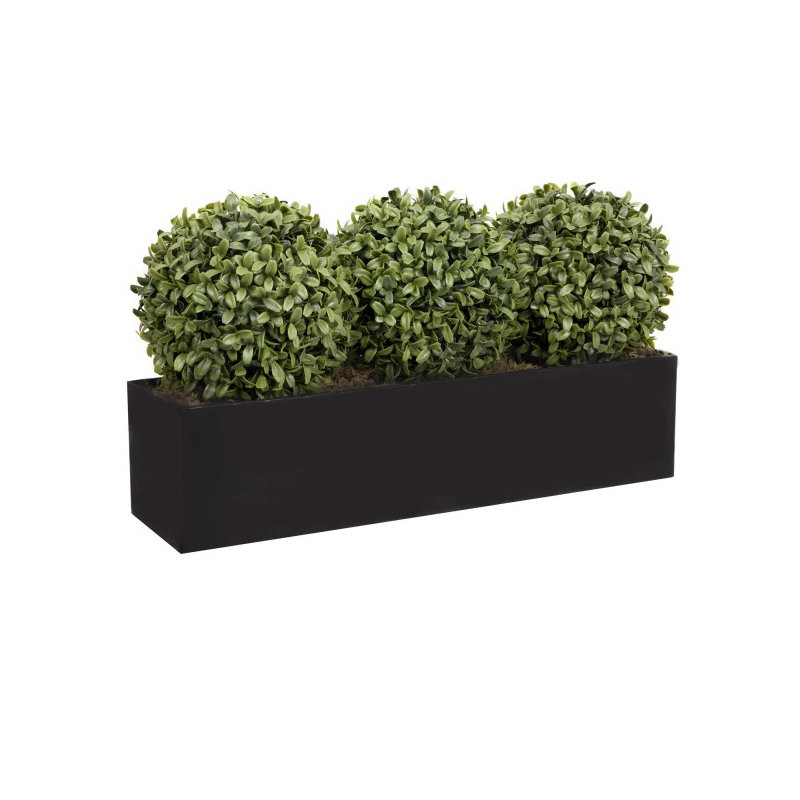 Topiary Ball (54cm) Window Box Black, Triple, Black