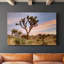 Joshua Tree Sunrise - Cavas enveloppés de galerie-80029015