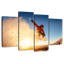 Sirci Snowboarder Dash