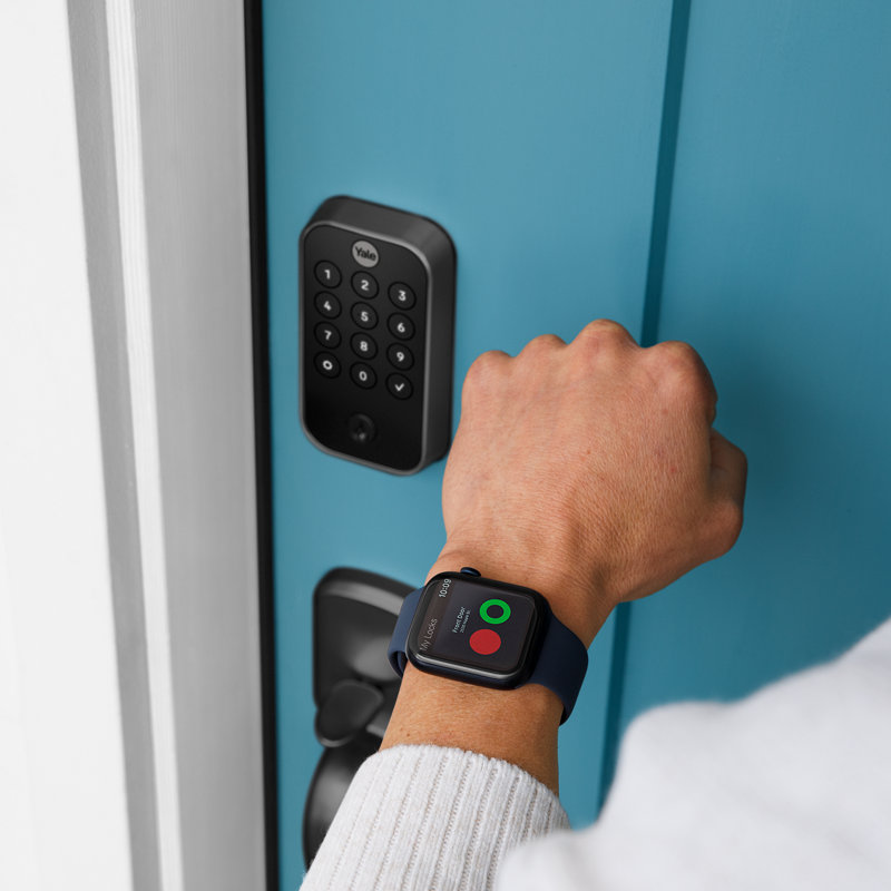 Black Suede Wi-Fi Smart Door Lock with Keypad and Voice Control