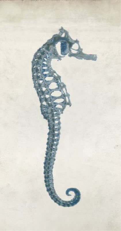 Sea Horse Cyanotype I Print by Chris Dunker, Glass Coat, 38" H x 20" W